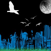 /album/galeria-de-fotos/untitled-112121212-jpg/