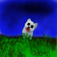 /album/galeria-de-fotos/auau-jpg/