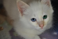 /album/galeria-de-fotos/coloridus-jpg/